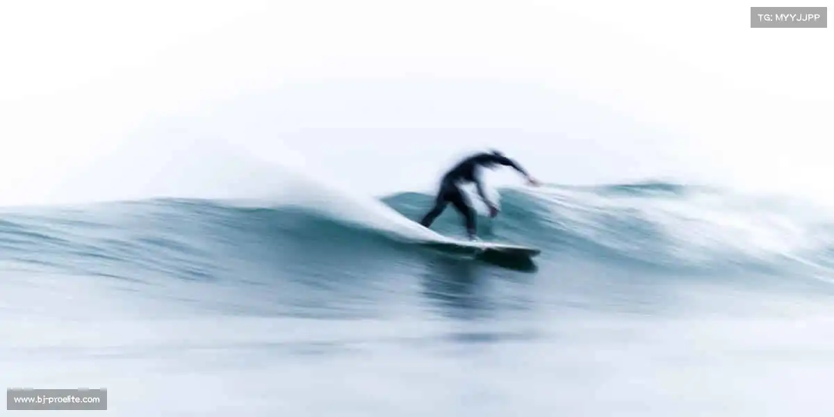 行业领先的理由